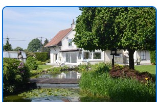 Étang du jardin